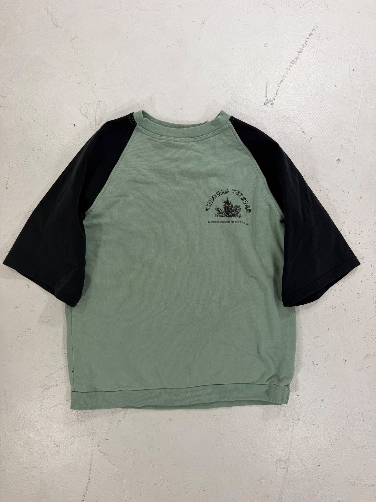 Raf Simons AW02 Mint Virginia Creeper Raglan Sweater