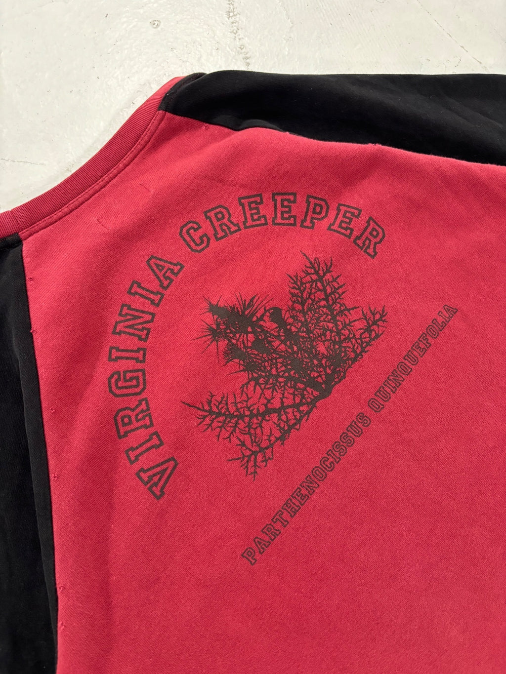 Raf Simons Virgina Creeper Redux Raglan Crewneck