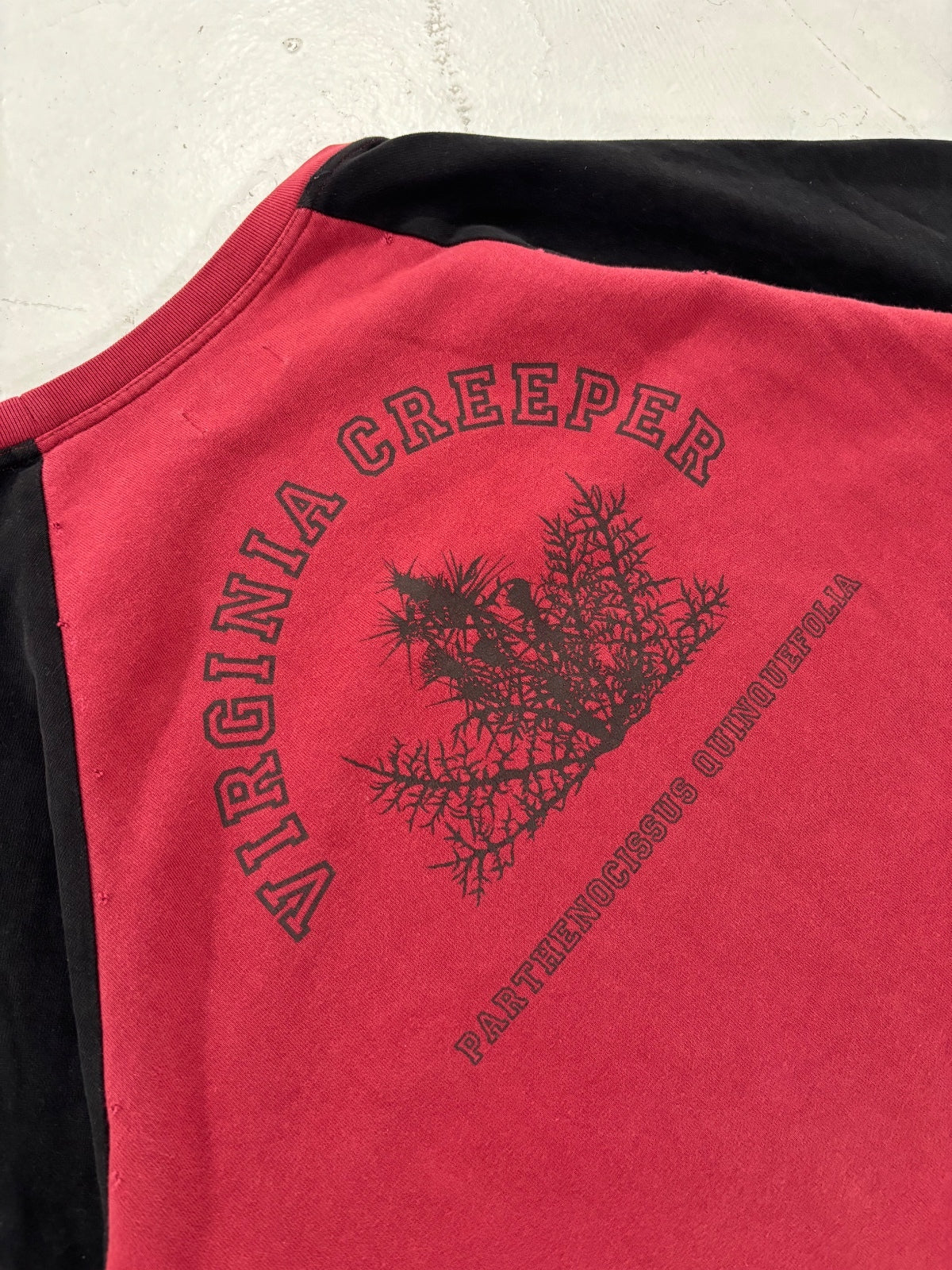 Raf Simons Virgina Creeper Redux Raglan Crewneck