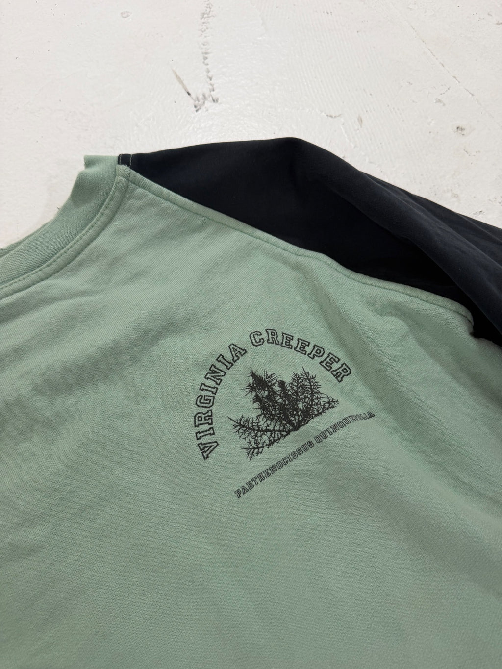 Raf Simons AW02 Mint Virginia Creeper Raglan Sweater