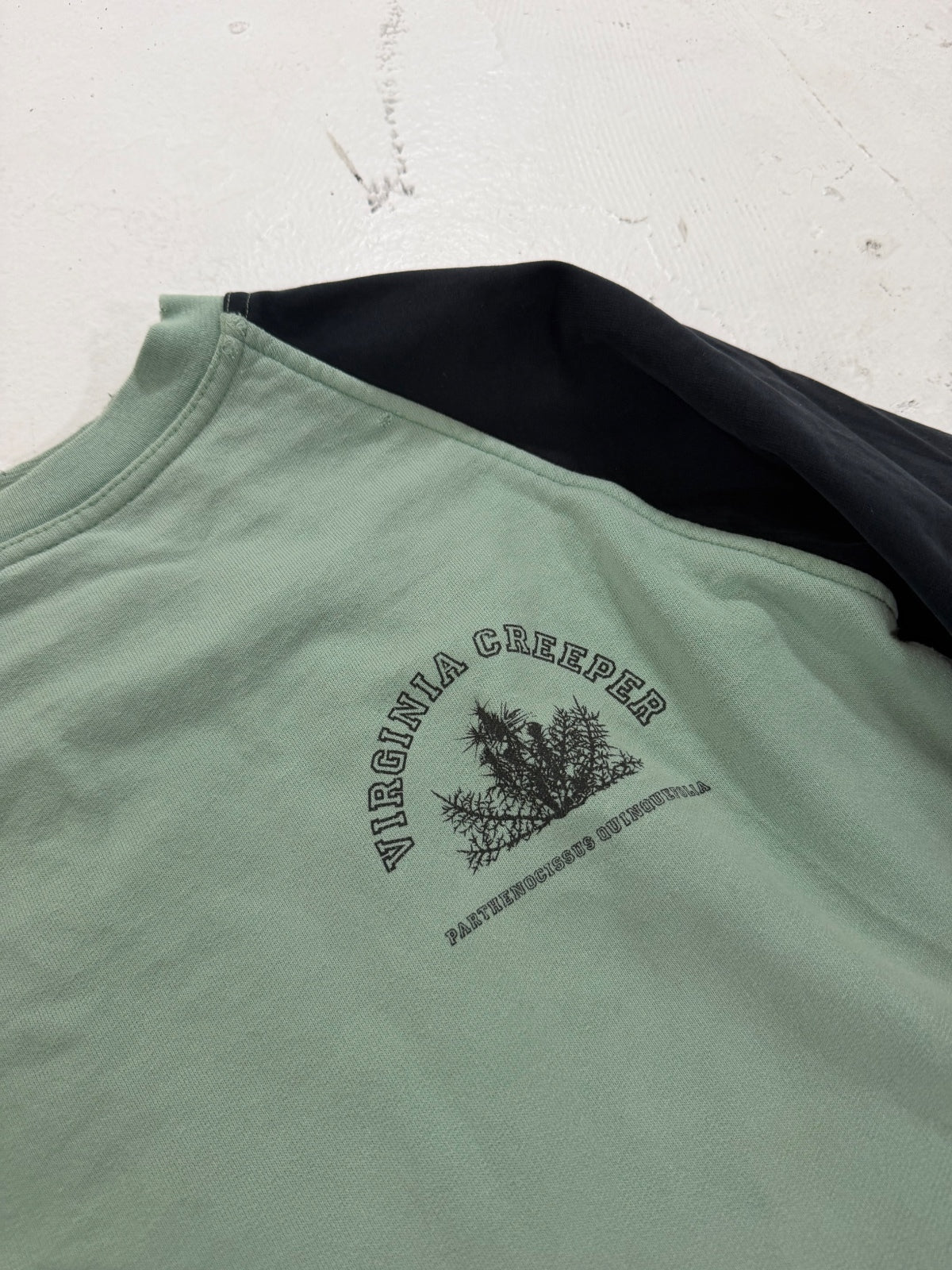 Raf Simons AW02 Mint Virginia Creeper Raglan Sweater