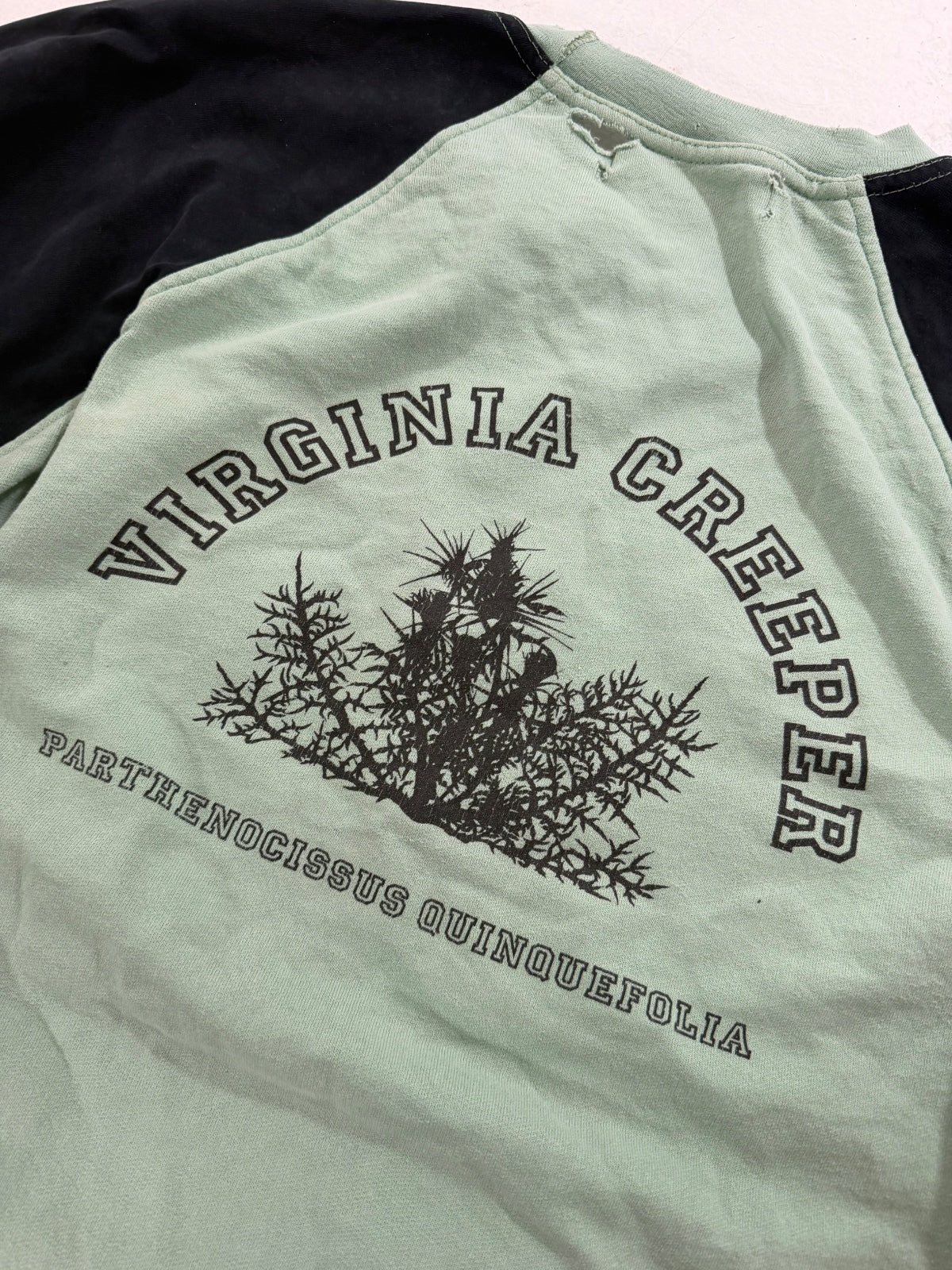 Raf Simons AW02 Mint Virginia Creeper Raglan Sweater