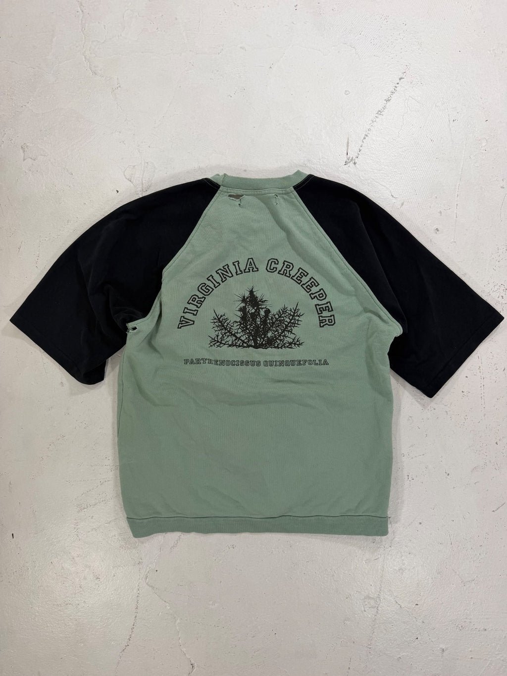 Raf Simons AW02 Mint Virginia Creeper Raglan Sweater