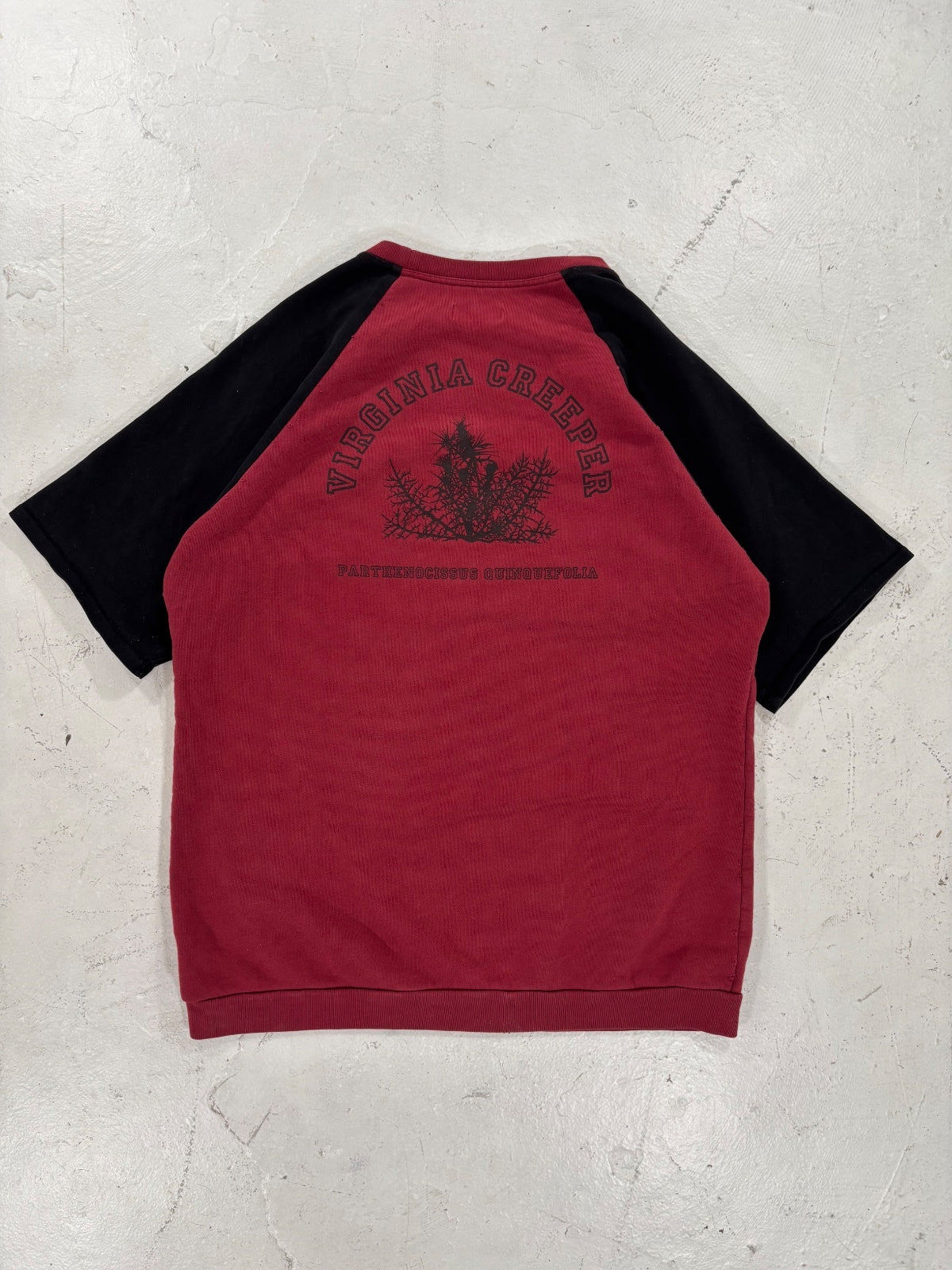 Raf Simons Virgina Creeper Redux Raglan Crewneck